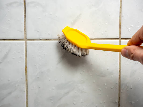 Best Commercial Mold Removal  in Cochran, GA