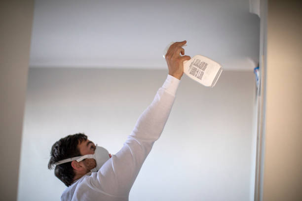 Professional Mold Removal in Cochran, GA