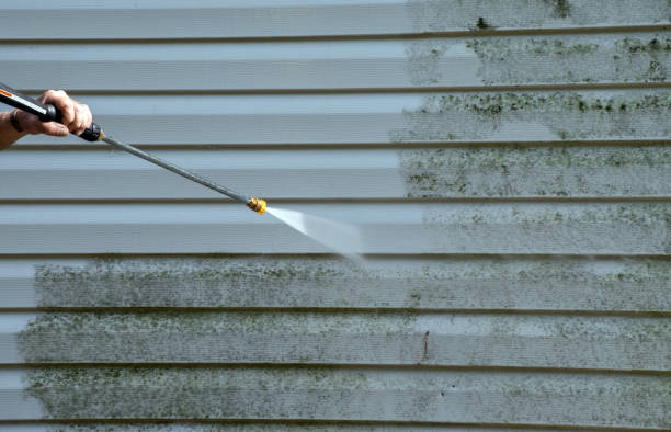 Best Certified Mold Removal  in Cochran, GA