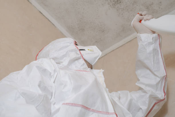 Best Commercial Mold Removal  in Cochran, GA