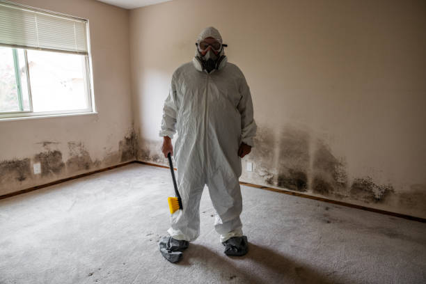 Best Mold Testing  in Cochran, GA