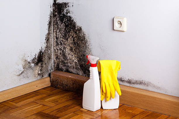 Crawl Space Mold Removal in Cochran, GA