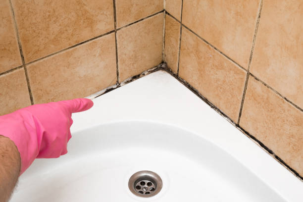 Best Mold Remediation Services  in Cochran, GA